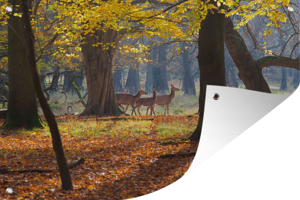 MuchoWow 120x80 cm Outdoor-Poster Gartendeko Sichtschutz Garten Poster für den Garten Hirsche in einem Wald in Dänemark