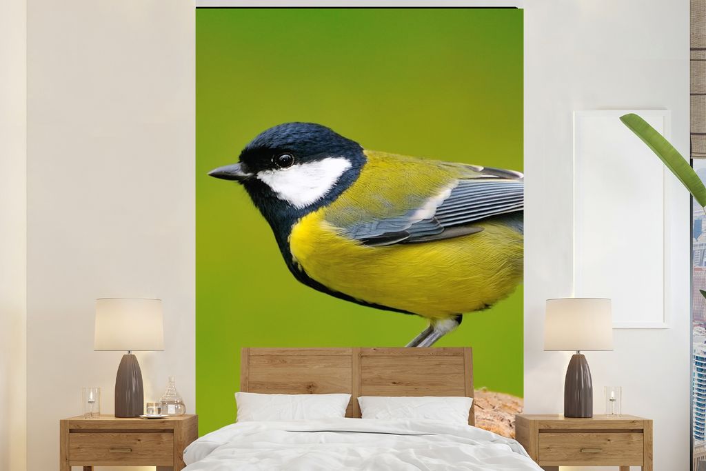 MuchoWow Fototapete für Wohnzimmer oder Schlafzimmer Wandtapete Vinyl Motivtapete Vogel - Kohlmeise - Tiere - Grün - 170x260 cm - Wohnzimmertapete