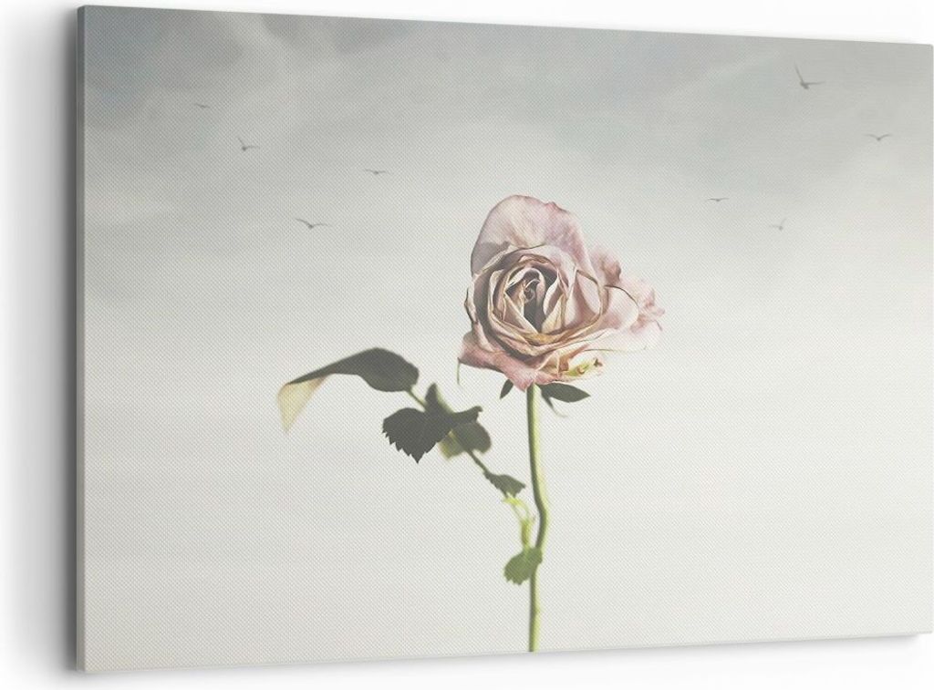 Bild auf Leinwand - Leinwandbild - Einteilig - Rose Vögel Himmel - 100x70cm - Wand Bild - Wanddeko - Wandbilder - Leinwanddruck - Bilder - Wanddek...