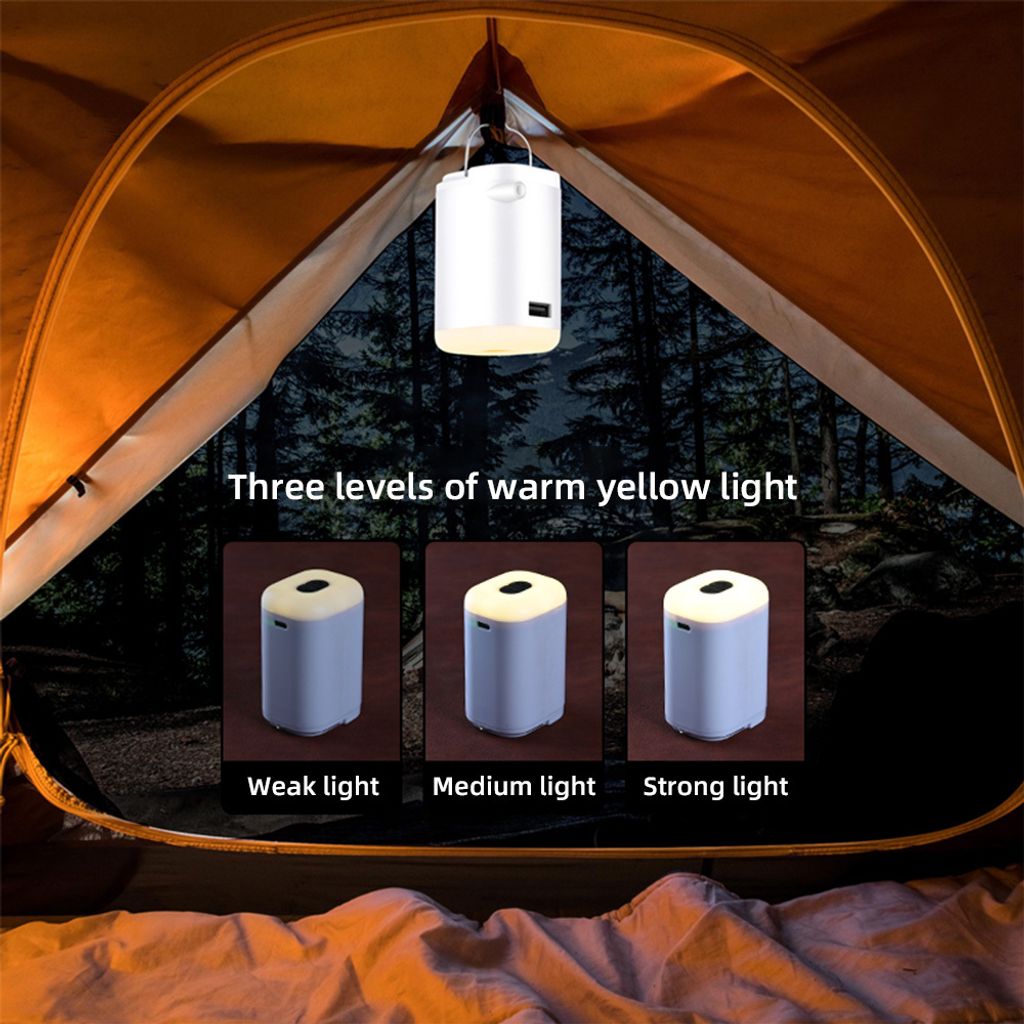 Mini-Elektro-Luftpumpe fš¹r Schlauchboote, tragbare 4-in-1-Camping-Luftpumpe mit Licht, integrierte Powerbank, schnelles Aufblasen, Entleeren, kl...