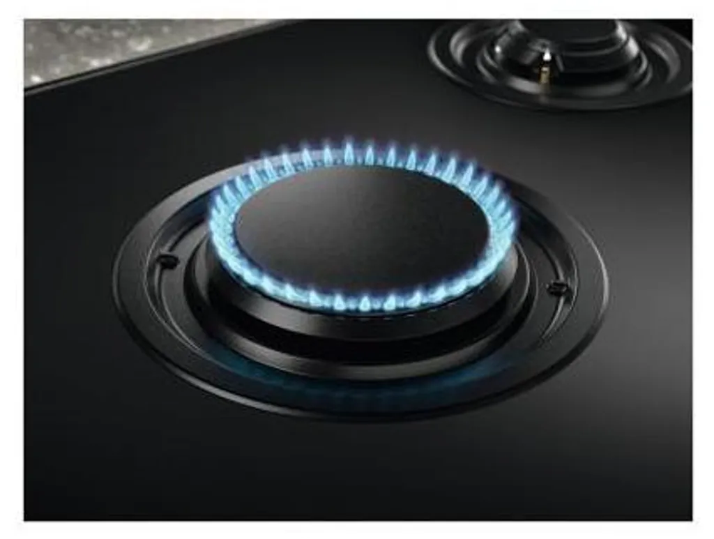 Plat de Cuisson Mixte pour Cuisson Précise Induction et Puissance Gaz