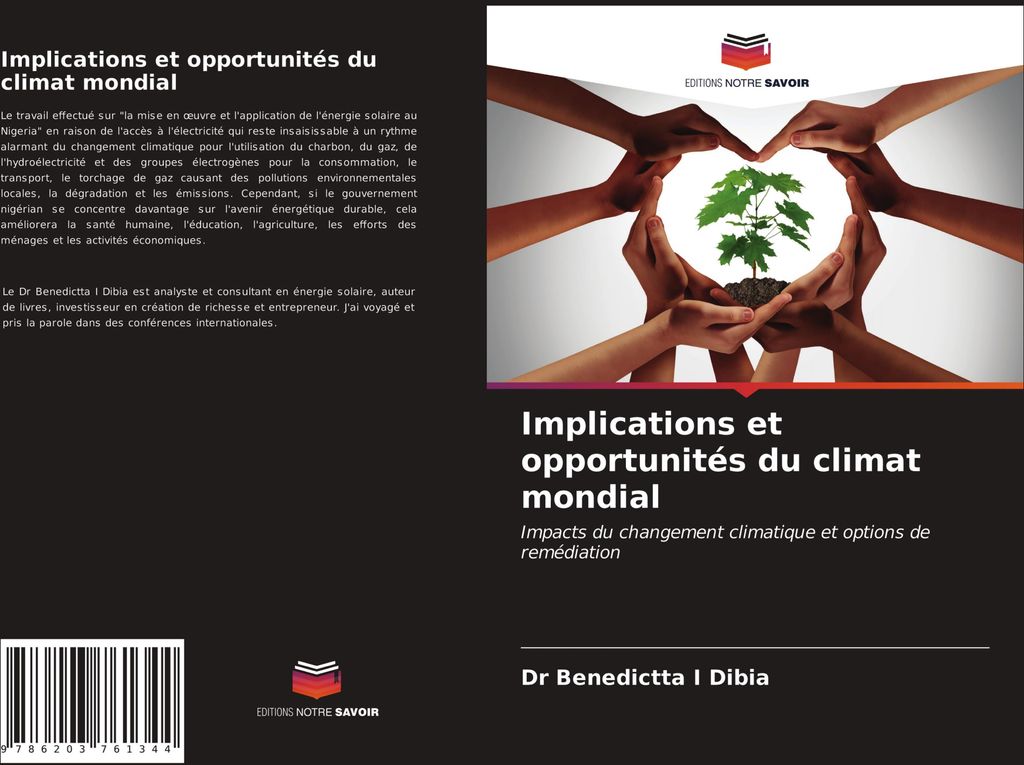 Implications et opportunités du climat mondial