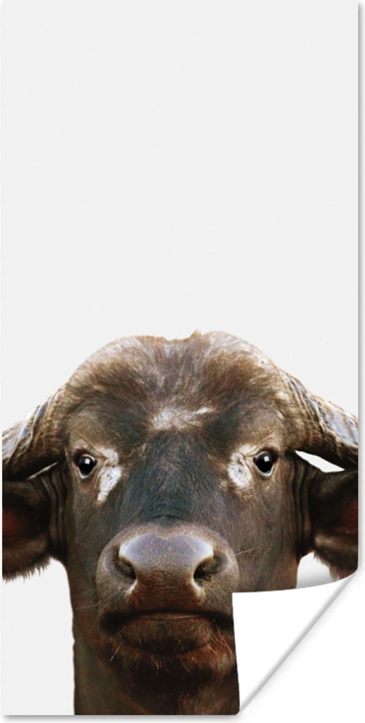 MuchoWow Poster Büffel - Wasserbüffel - Kopf - Kuh - Hörner - Jungen - Mädchen 20x40 cm - Plakat - Foto