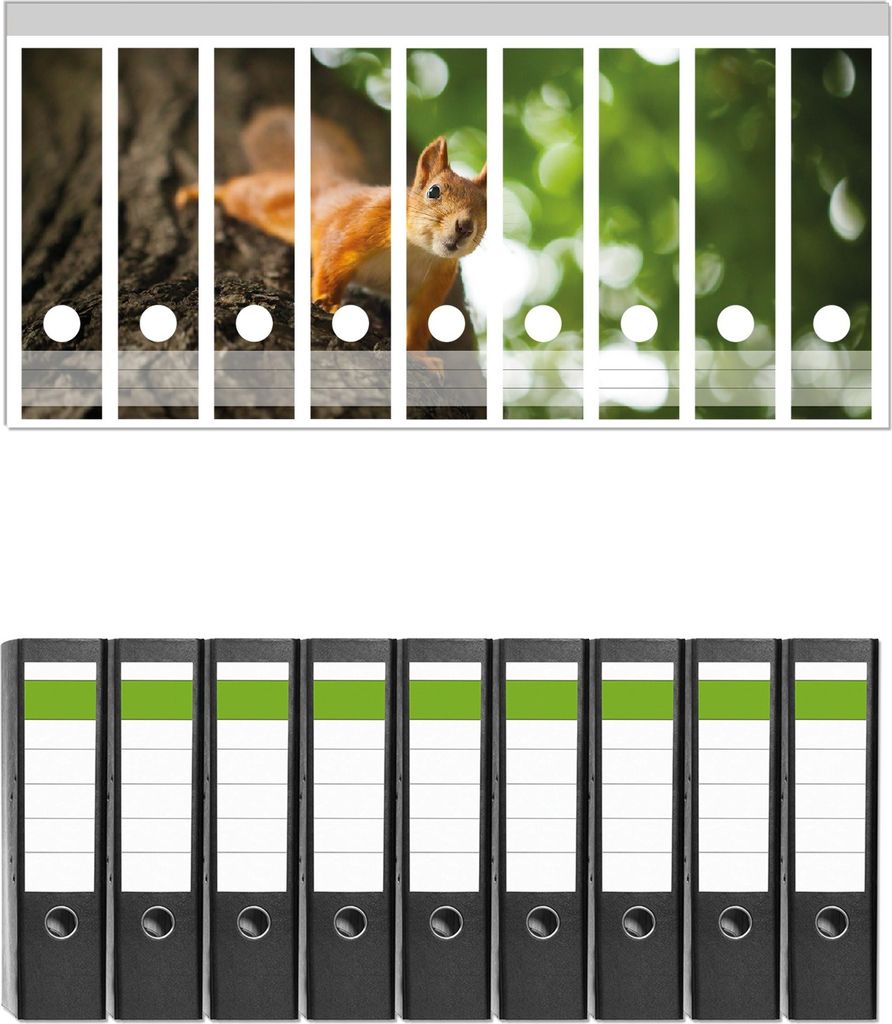 Wallario 9 Stück breite Ordner inkl. Klebeetiketten mit Motive Süßes neugieries Eichhörnchen an einem Baum - Set mit Rückenschildern / Ordnerr...