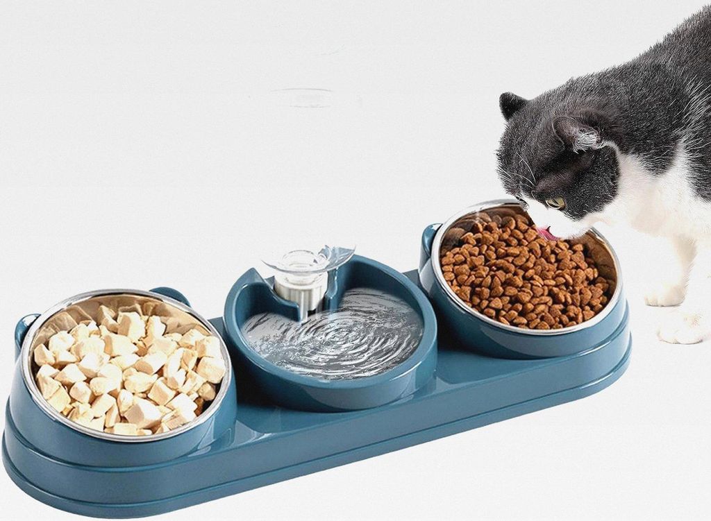 3-in-1 Katzenfutter und Wassernapf Set, 15° Neigung Anti-Erbrechen Edelstahl Katzennäpfe Katze Nass- und Trockenfutter Schüssel, Anti-Verschütt...