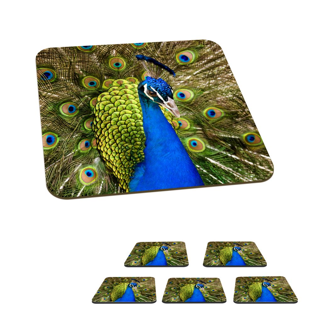 KitchenYeah Glasuntersetzer Quadratisch 6er Set Pfau - Federn - Schnabel 10x10 cm Untersetzer für Gläser - Getränkeuntersetzer - Tischplattens...