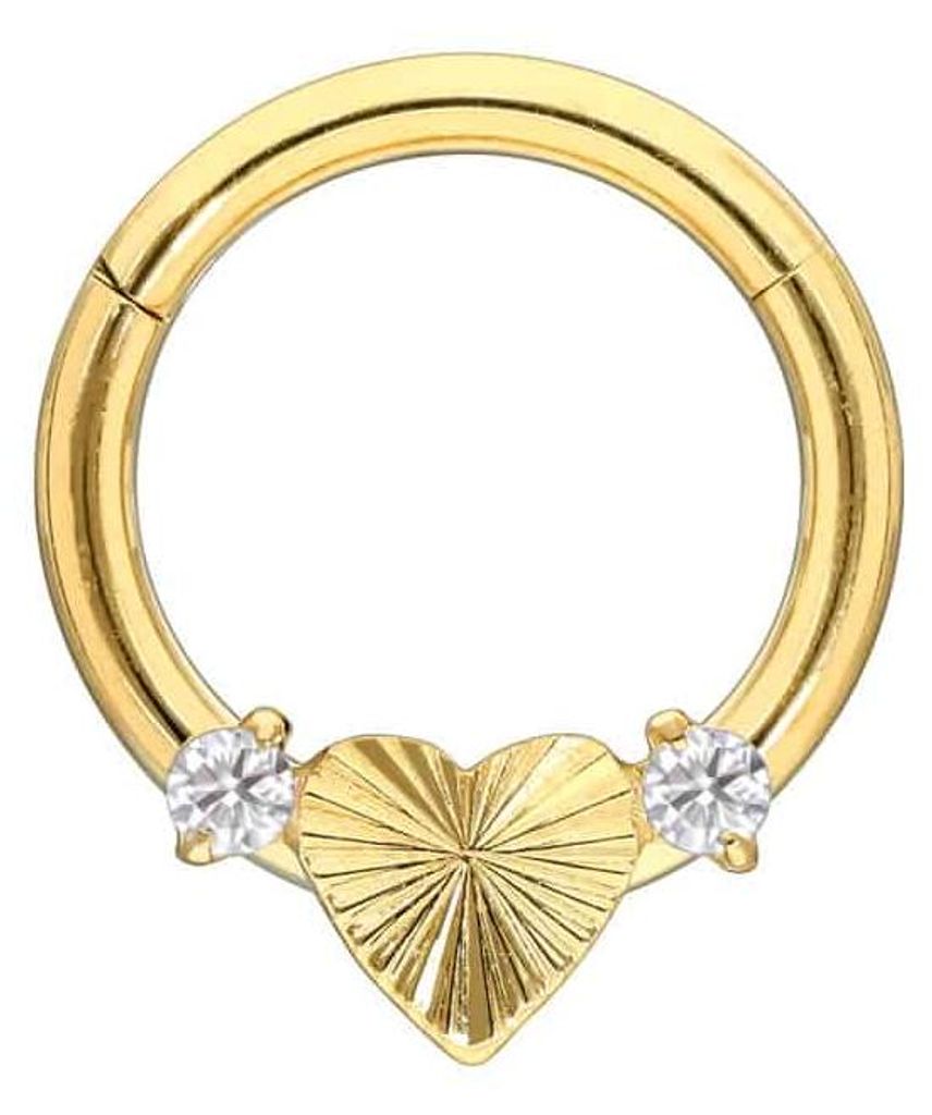 Ohrpiercing, Nasenpiercing, Septum Piercing Titan Segmentring Clicker HERZ + 2 KRISTALLE