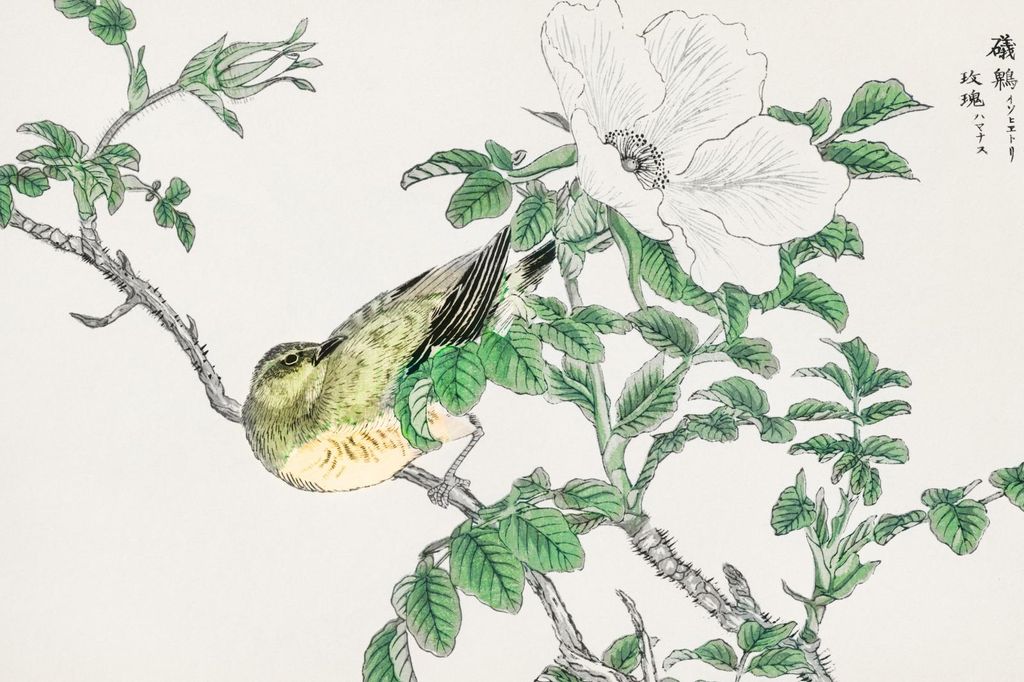 Plakat 30x20cm Bulbul und Rosa, Japanischer Vintage Kashu für das Wohnzimmer