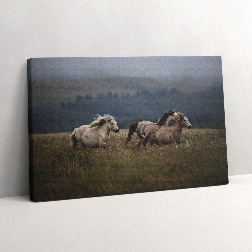 Pferde galoppieren den Hügel hinauf – Leinwandbild Wandbild – 30x20 cm – Leinwandbilder – Wandbilder – Schlafzimmer – Flur