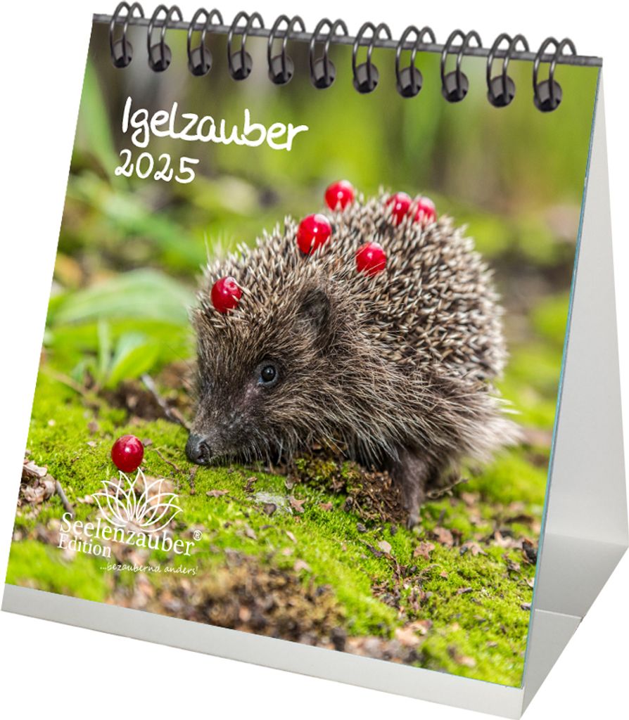 Igelzauber Kalender für 2025 Format 10cm x 10cm Igel - Seelenzauber