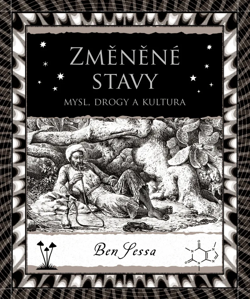 Livre Změněné stavy par Ben Sessa : Exploration de la Conscience Humaine