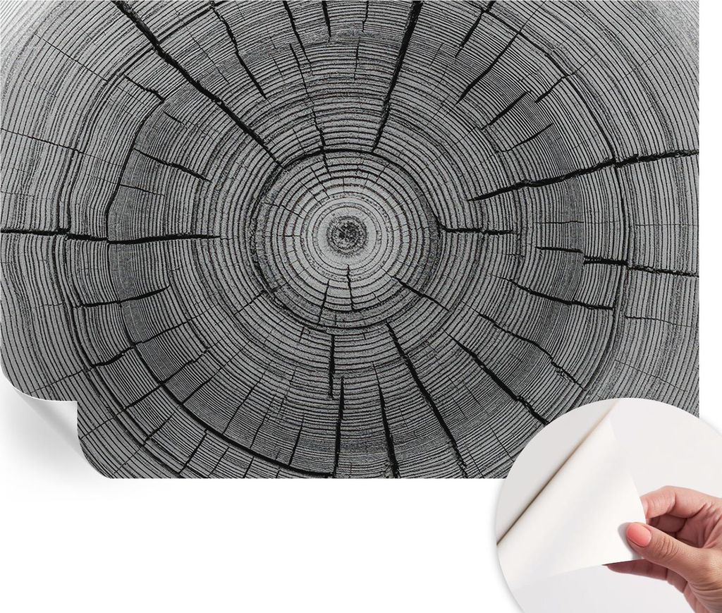 Selbstklebende Wandtapete - Dekorative Tapete für Wohnzimmer - Klebefolie für Wandbilder - Tapetenfolie für Wanddekoration - 152x104 cm - Harmon...
