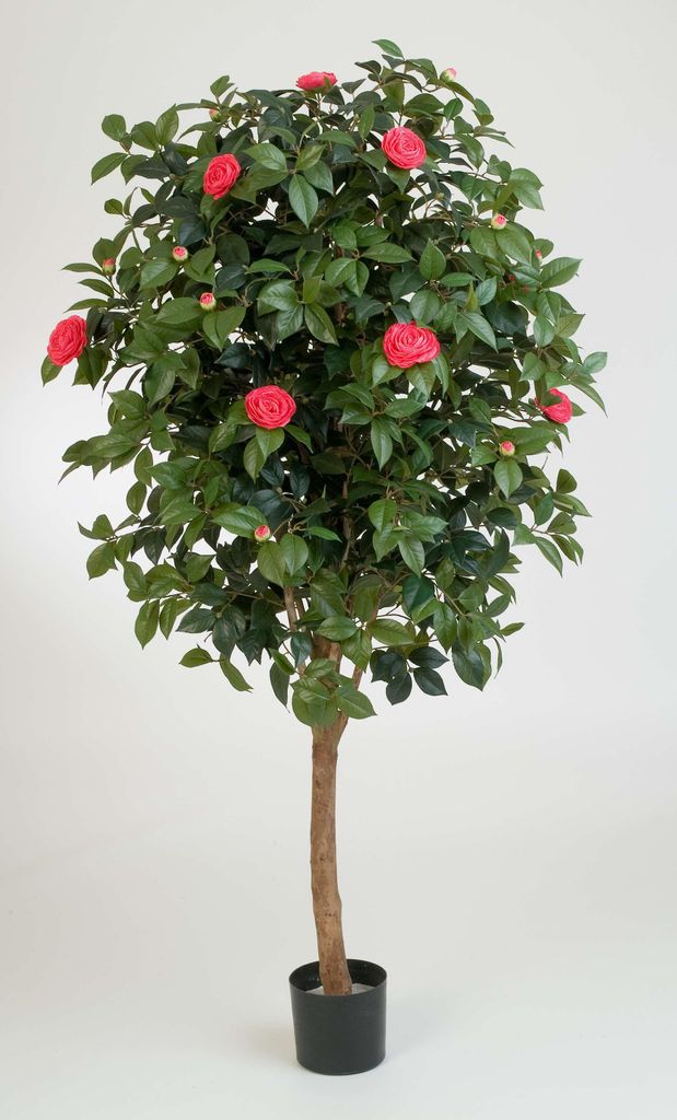 artplants.de Deko Kamelien Baum, 1670 Blätter, 170 Blüten, rosa, 170cm - Kunstblume Kamelie - Kunstbaum