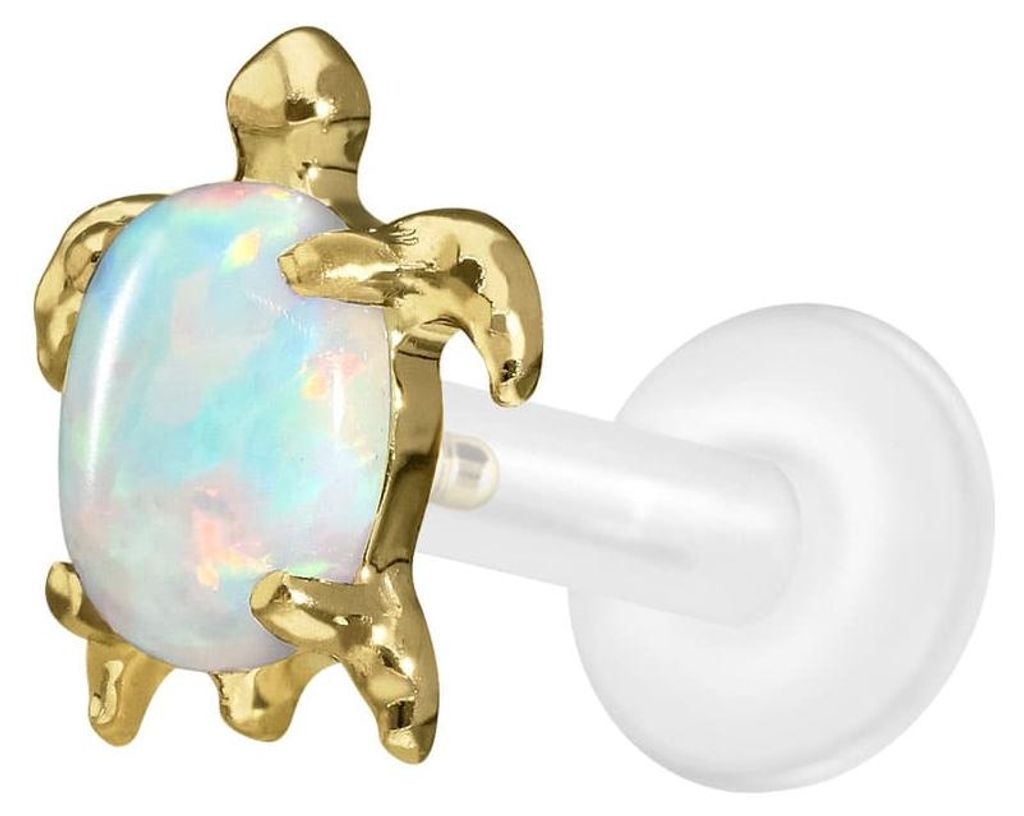Ohrpiercing, Nasenpiercing PTFE Labret mit Innengewinde + Titan-Aufsatz SCHILDKRÖTE Gold Stablänge: 8mm | Stabstärke: 1,6mm
