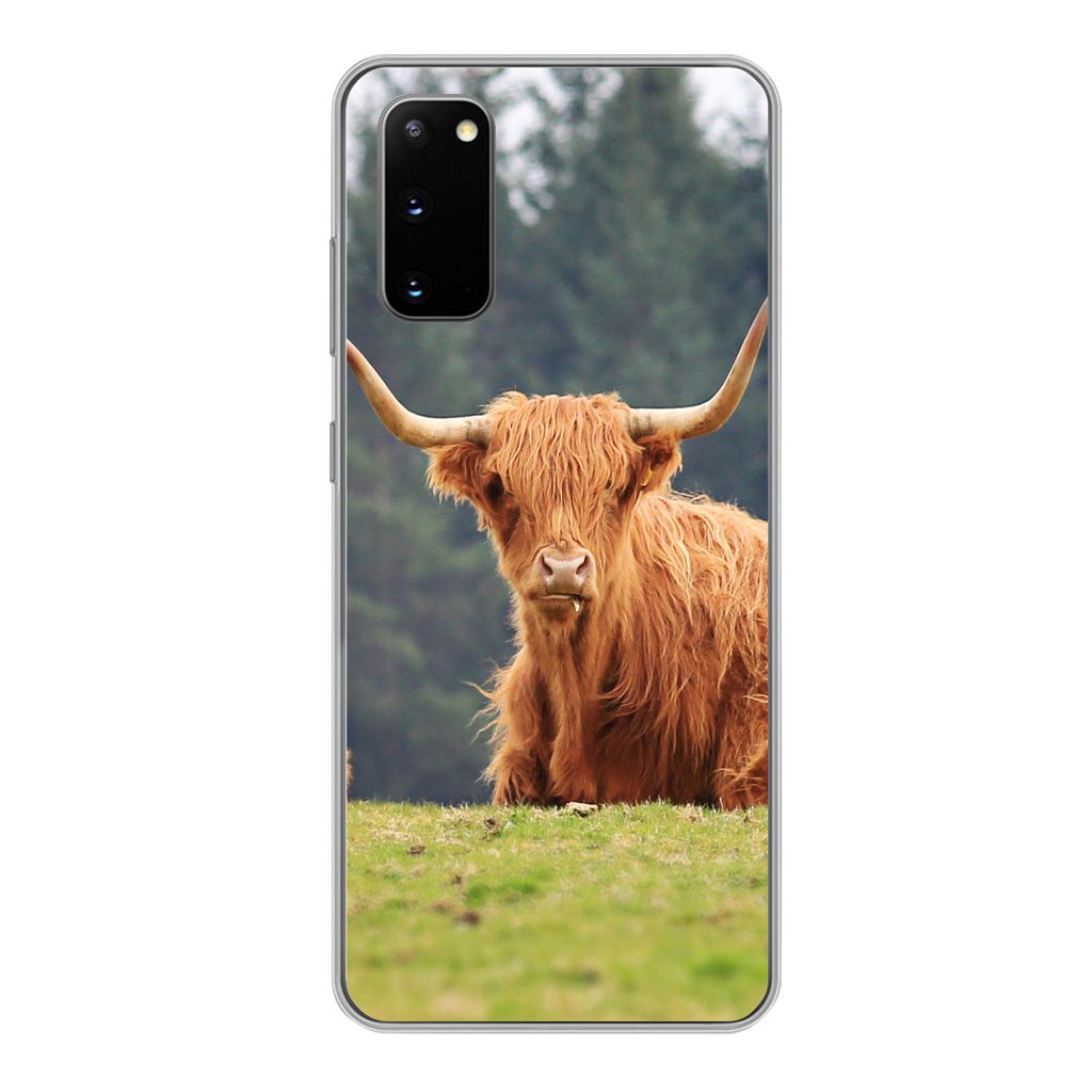 MuchoWow Handyhülle Schutzhülle Hülle für Samsung Galaxy S20 Schottische Highlander - Gras - Wald Silikon Softcase Handy Hülle - Bild