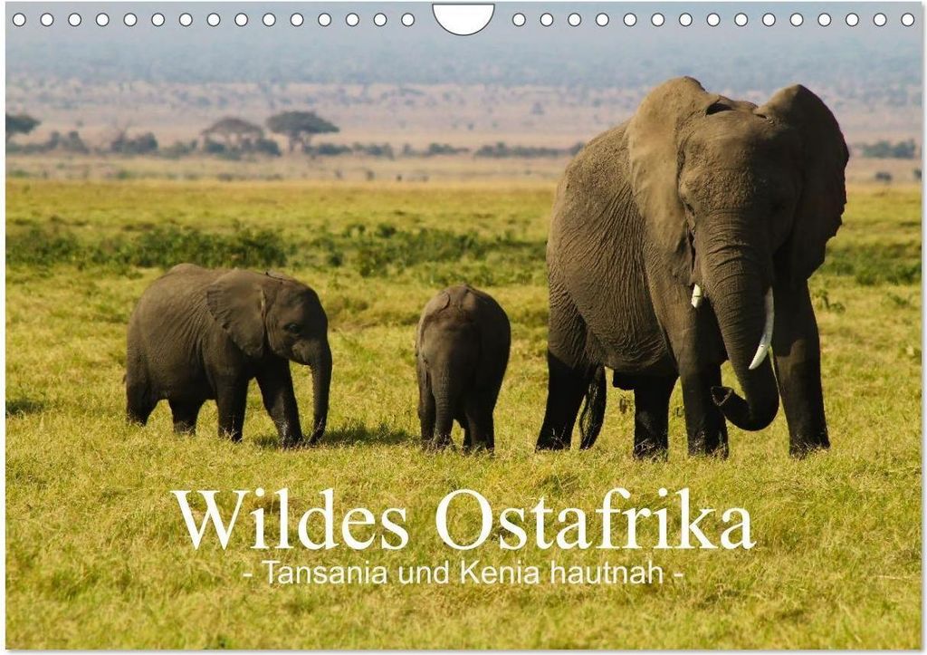 Wildes Ostafrika - Tansania und Kenia hautnah (Wandkalender 2026 DIN A4 quer), CALVENDO Monatskalender