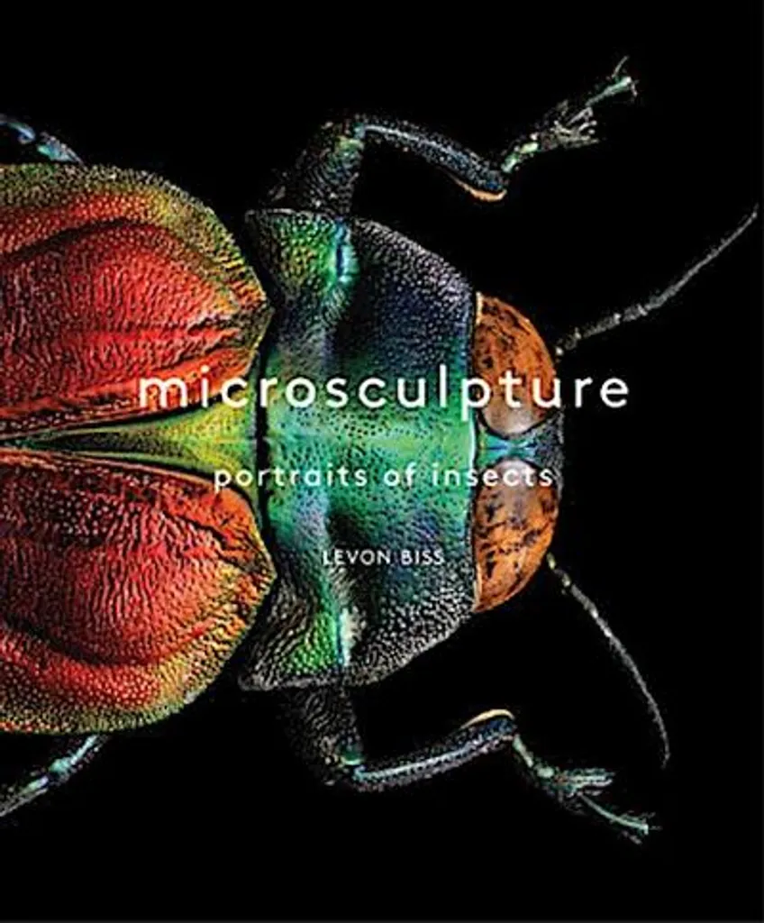 Tableau Microsculpture moderne : photographie d'art pour salon chic