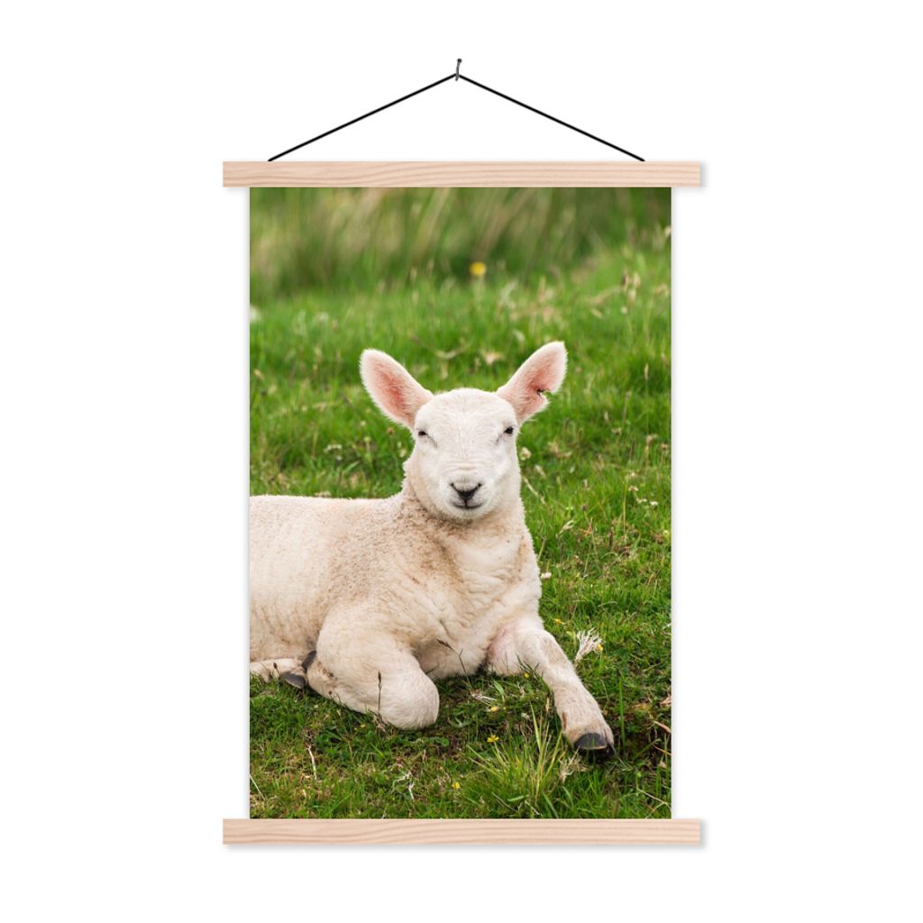 MuchoWow Textilposter Schafe - Tiere - Lamm 120x180 cm mit holzfarbenen Rahmen - Textil-Plakat