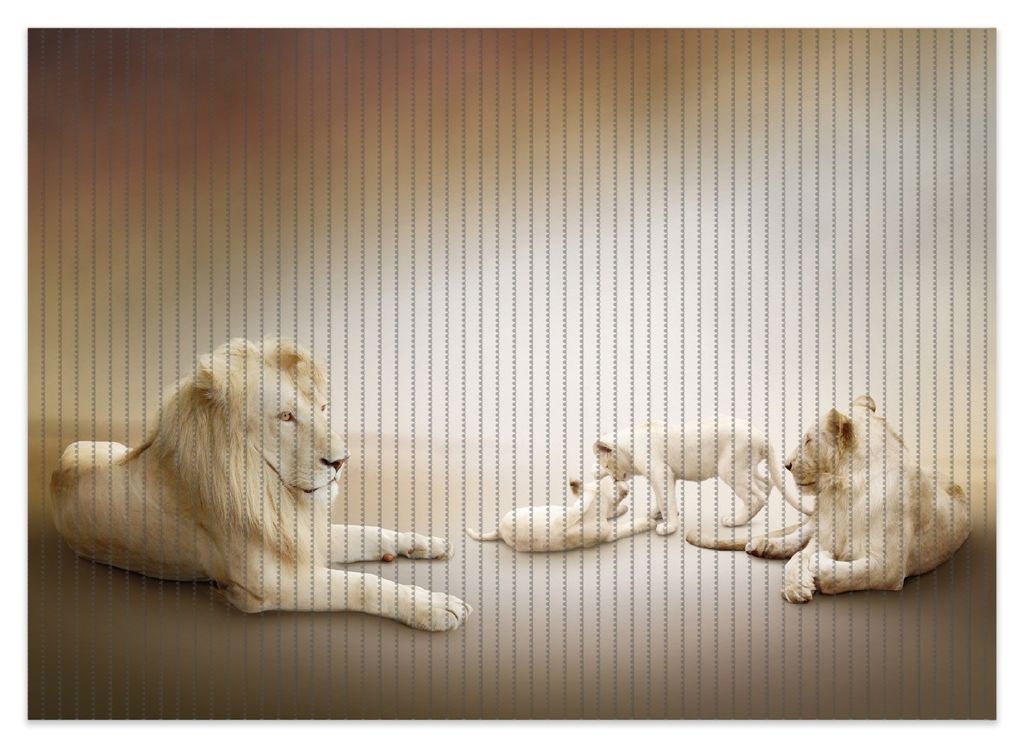 Wallario Duschmatte Antirutschmatte Badmatte Fußmatte Löwenfamilie mit Jungtieren, Größe ca. 70 x 50 cm