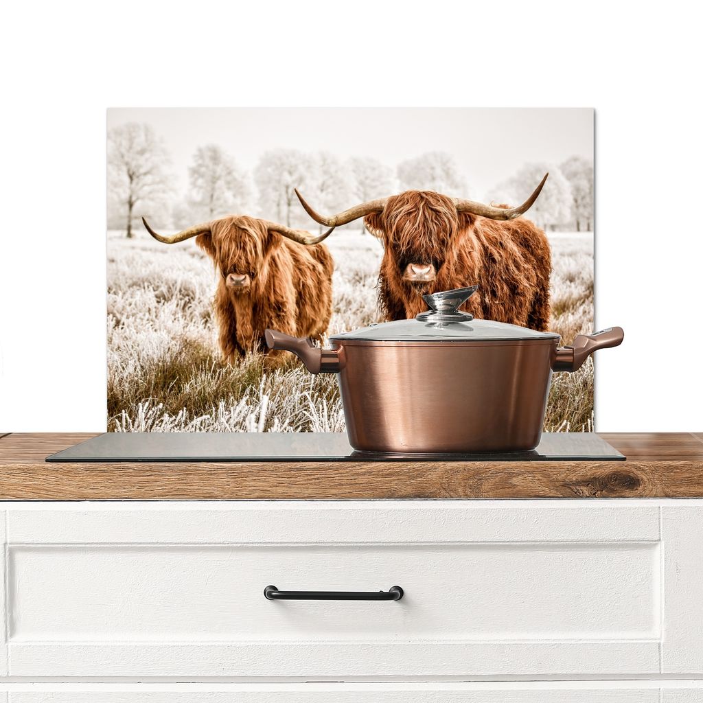 KitchenYeah Spritzschutz Küche - Küchenrückwand - Wandschutz für Herd und Spüle - Schottisches Hochlandrind - Kuh - Tiere 60x40 - Alu-Dibond...
