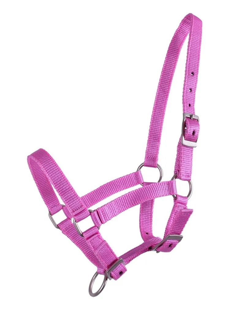 Cavezza per puledri QHP