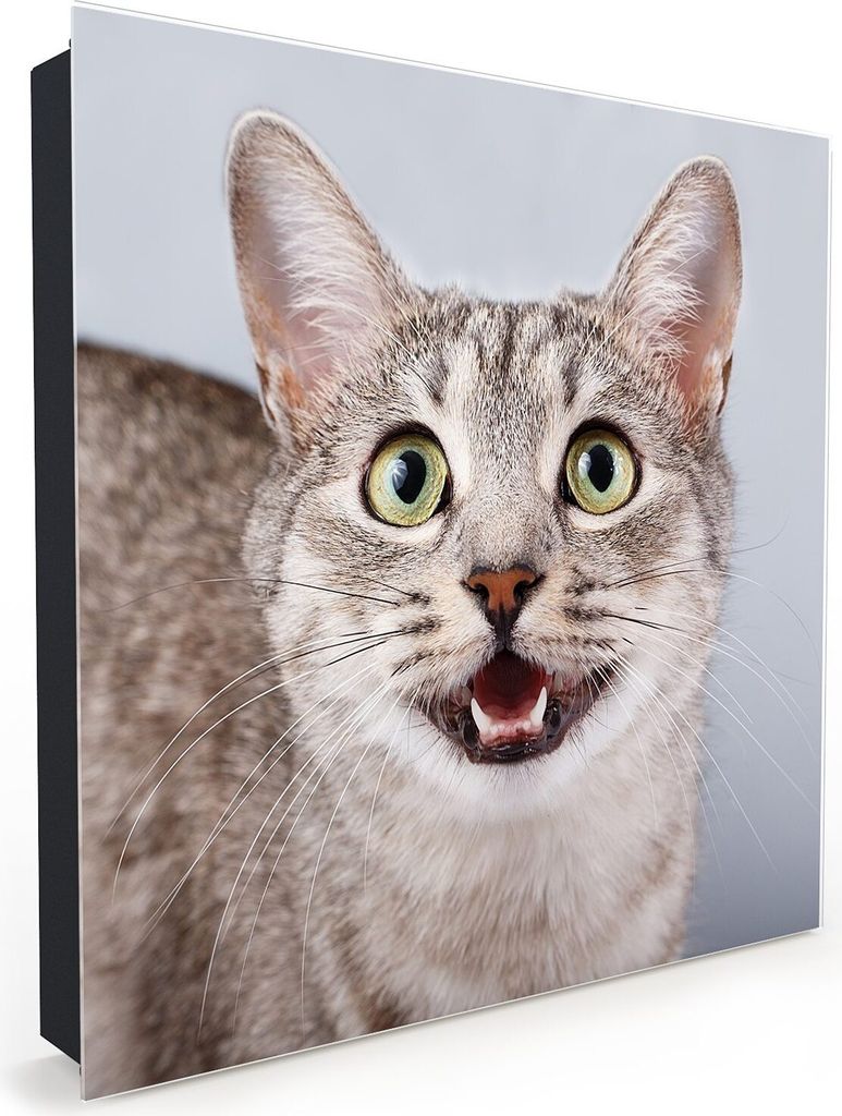 Nachbildung-Schlüsselkasten, Magnetpinnwand und Memoboard mit Glasfront Motiv Mistrauischer Katzenblick