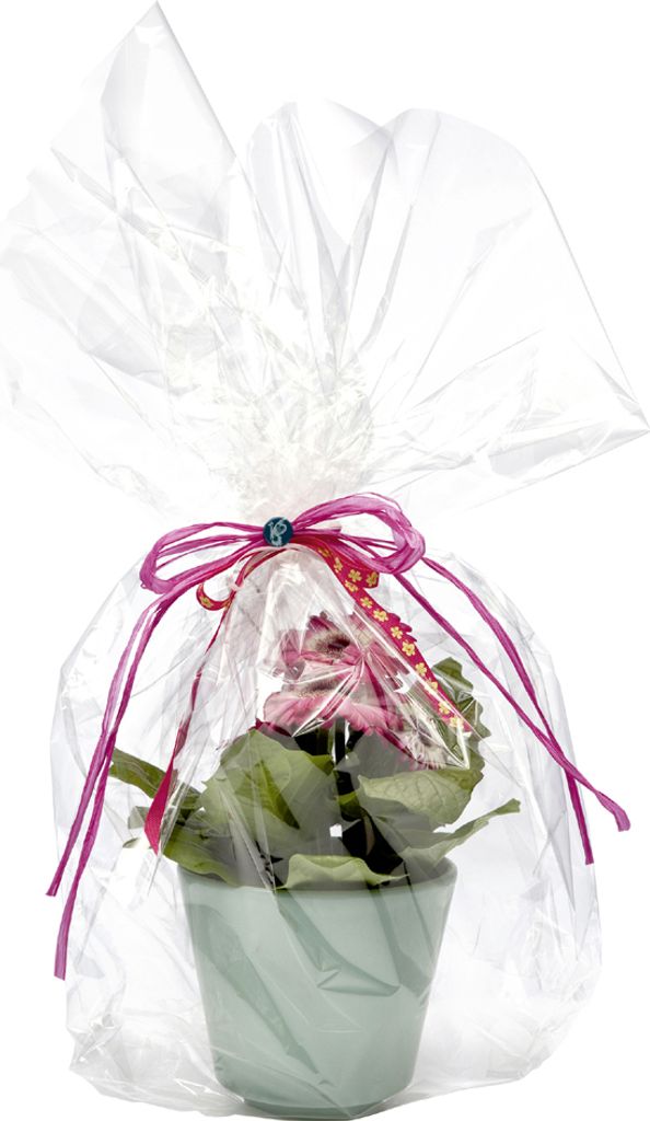 folia Geschenkfolie 20 my unbedruckt 700 mm x 10 m Produktbild 