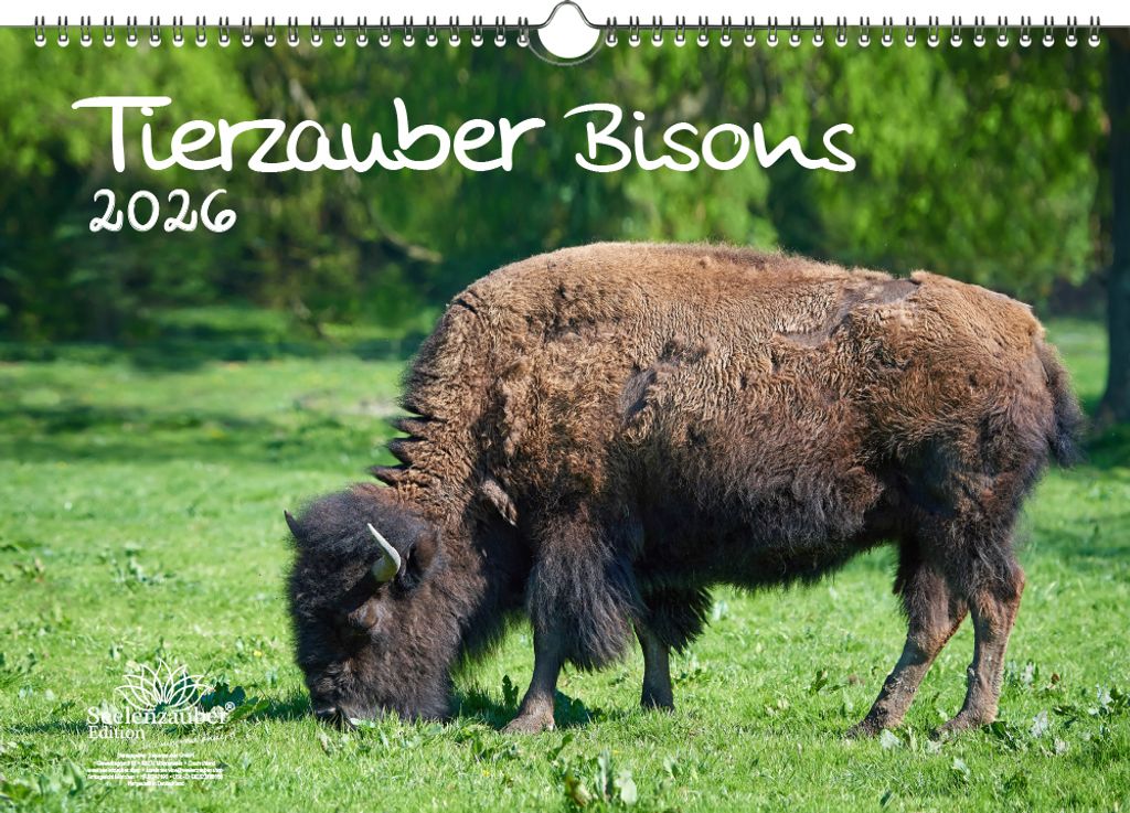 Tierzauber Bisons DIN A3 Kalender für 2026 Amerika - Seelenzauber