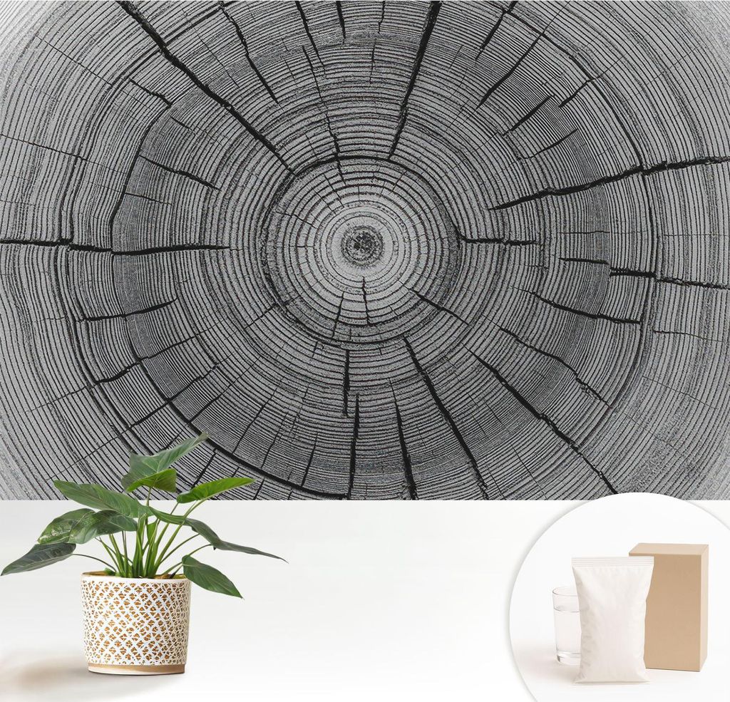 Fototapete - 152x104 cm - Tapete - Wandtapete - Wandbilder - Dekofolie - Tapete Folie - Wand - Dekoration - Wohnzimmer - Harmonie des Waldes