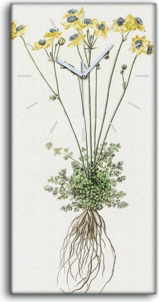 Küche Wohnzimmer Wand Leinwand Uhr 30x60 Gemälde Blumen Pflanzen Kunst - weiße Hände