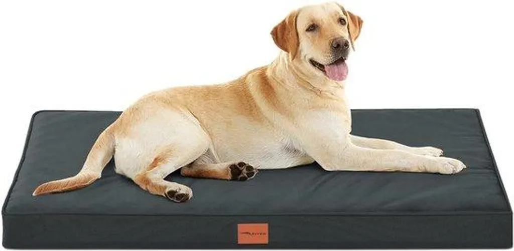 Panier pour chien orthopédique et déhoussable grand format gris foncé