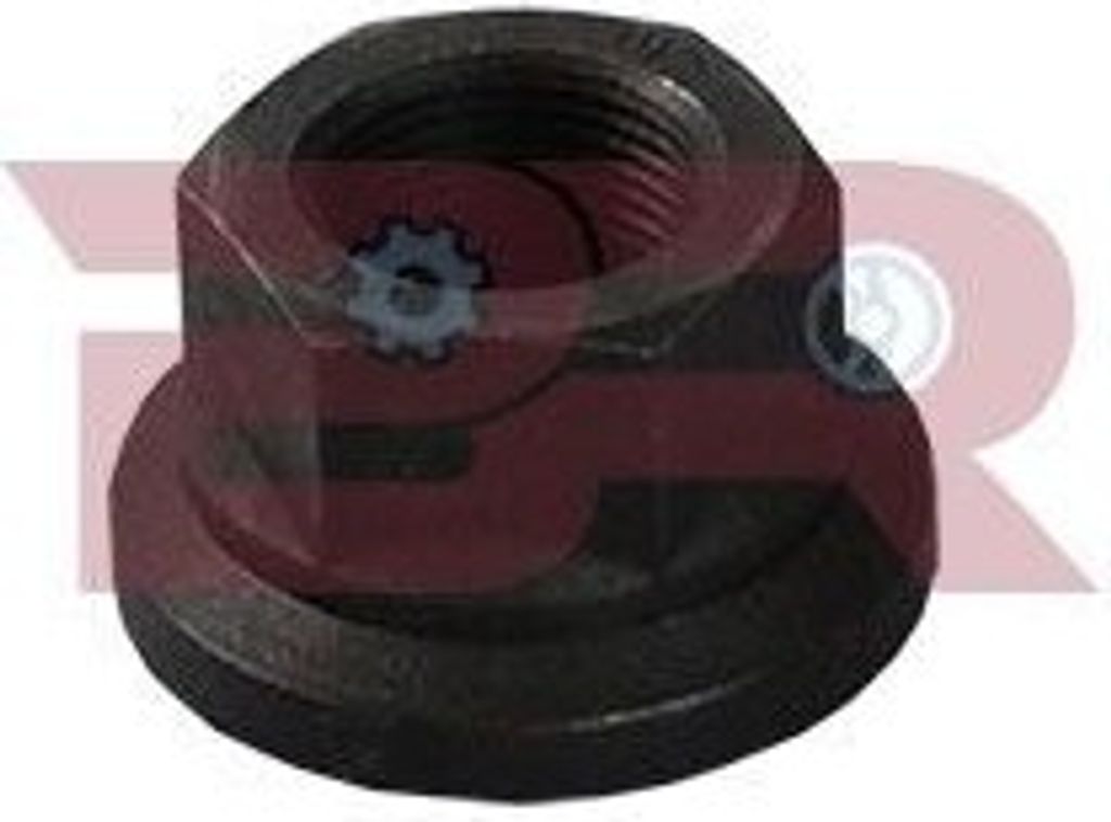 BOTTO RICAMBI Radmutter M22 x 1,5 passend für MERCEDES-BENZ Citaro (O 530) Intouro (O 560) ACTROS ACTROS MP2 / MP3 ACTROS MP4 / MP5 ANTOS