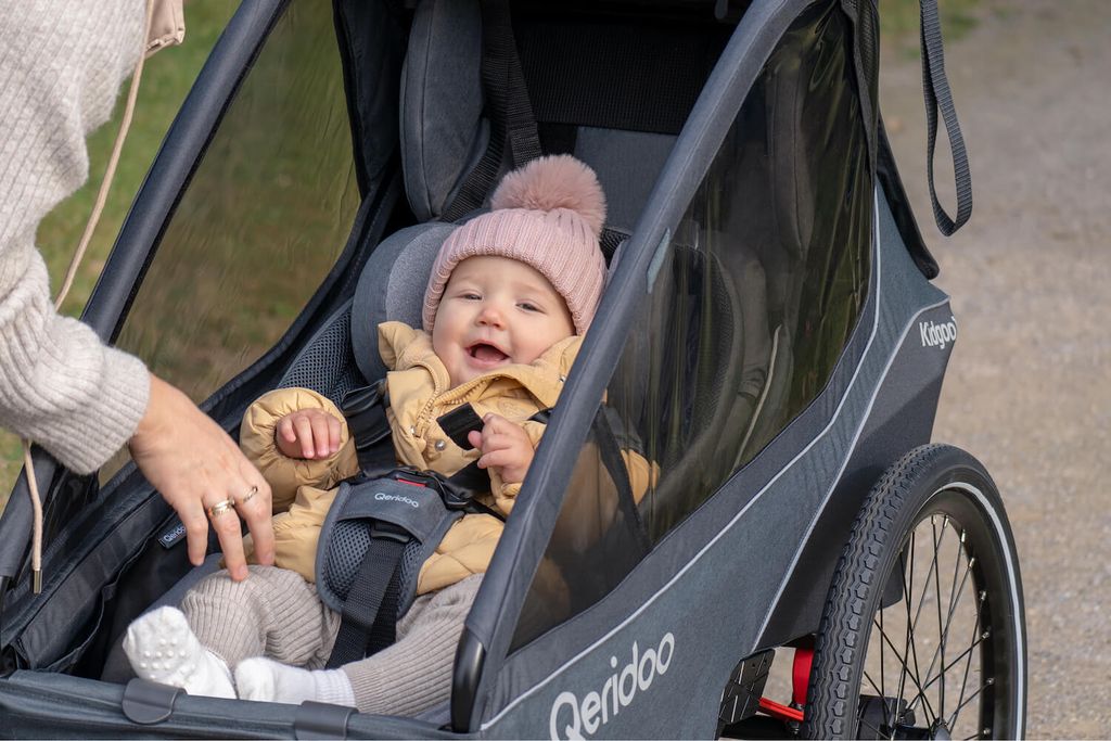 Qeridoo Hngematte Plus Fahrradanhnger