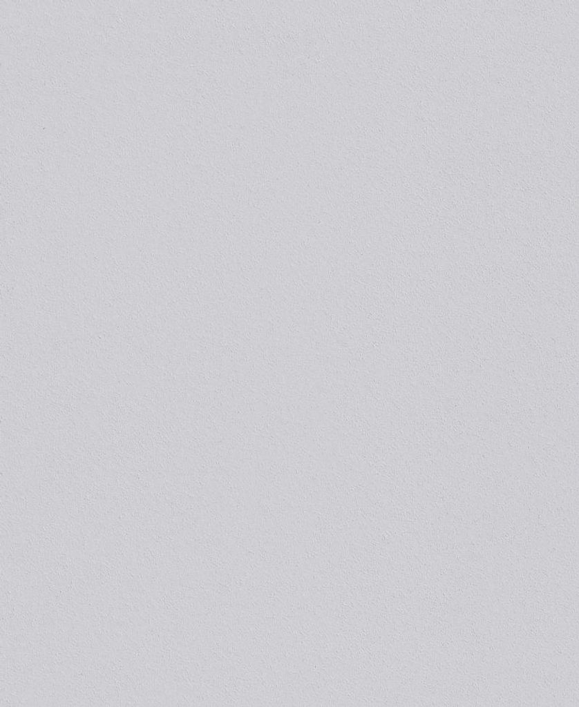 Erfurt Vlies-Rauhfaser Viva weiß 15 x 0,53 m