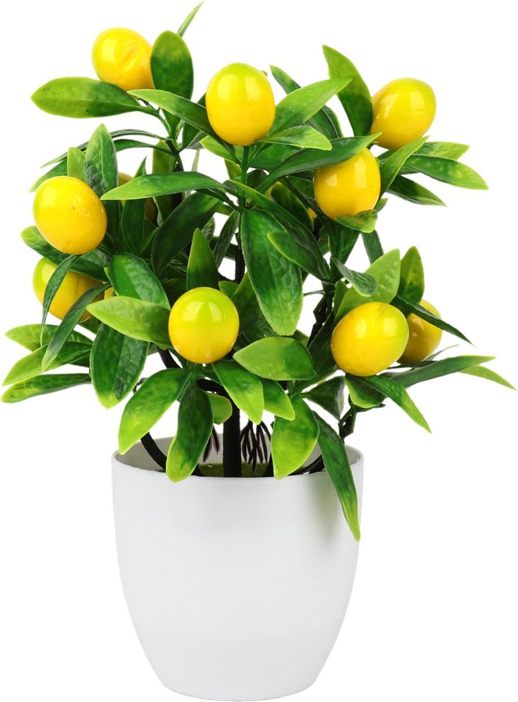 Simulation von Blumen im Topf - Kumquat im Topf - - Blatt - Kunststoff, Frucht - Moos - Gesamtdurchmesser 15cm Höhe 24.5cm