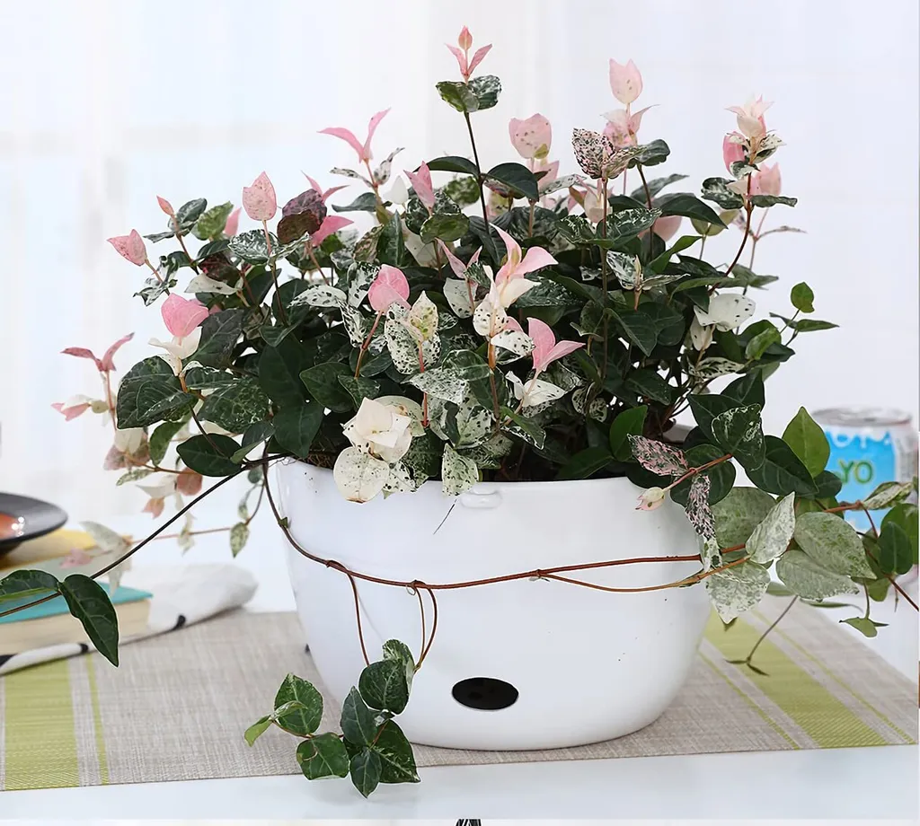 3 Pots de Fleurs Suspendus 20cm Blancs - Auto-irrigation Extérieur