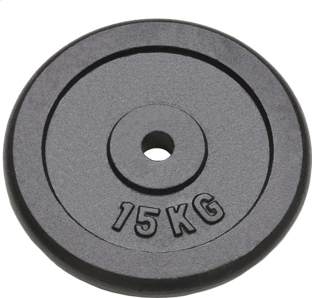 vidaXL Disques d'haltères 2x15 kg en fonte robuste pour musculation