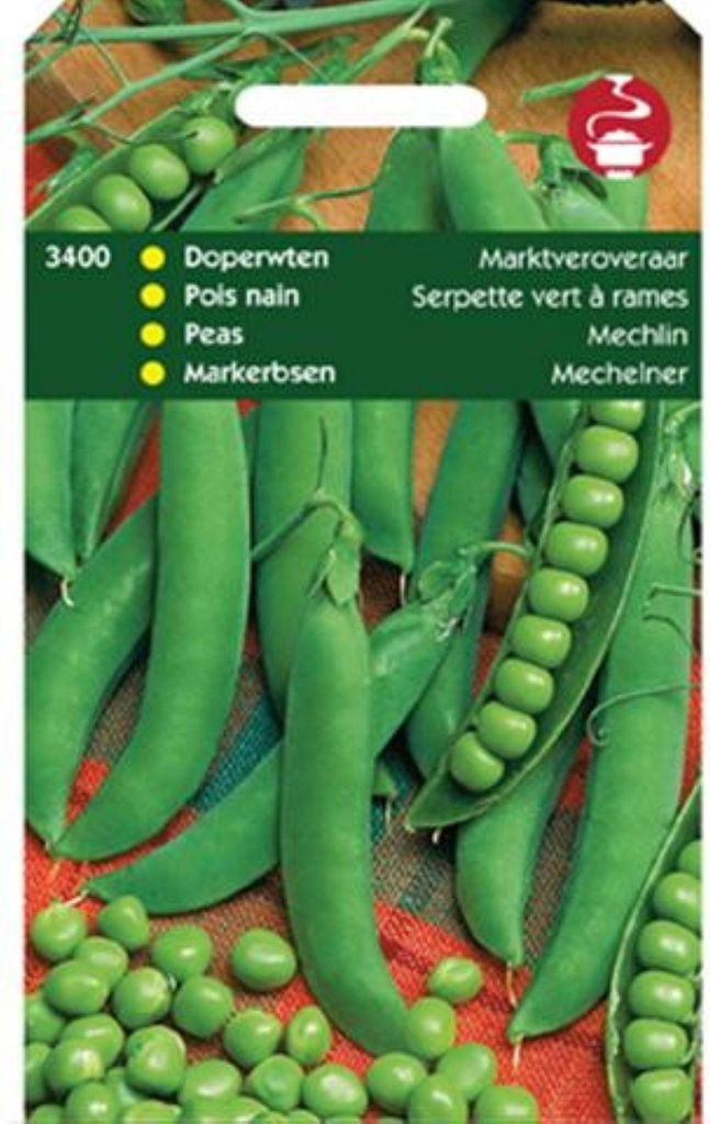 Markerbsen Marktveroveraar (100 g) | Markerbsensamen von Hortitops