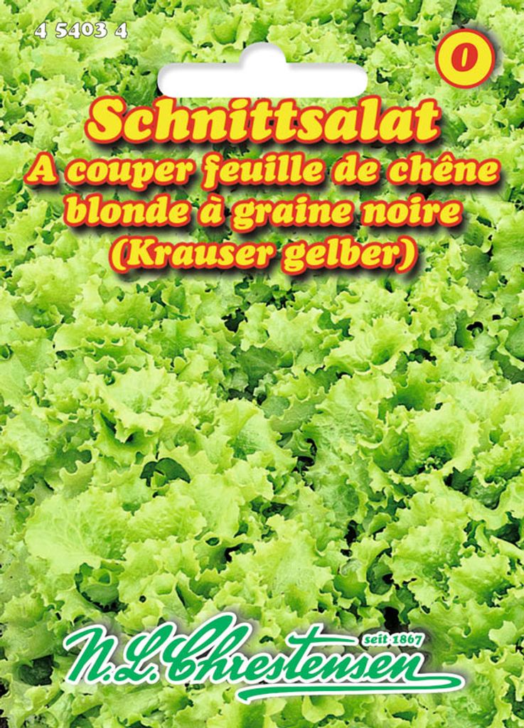 Schnittsalat Bionda a foglia die querica