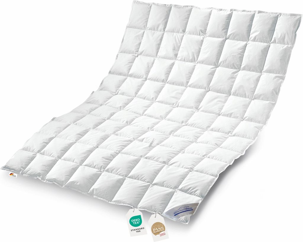 Daunenpass Sommer Daunen Bettdecke Sommerbett Sommerdecke 300g 155x220