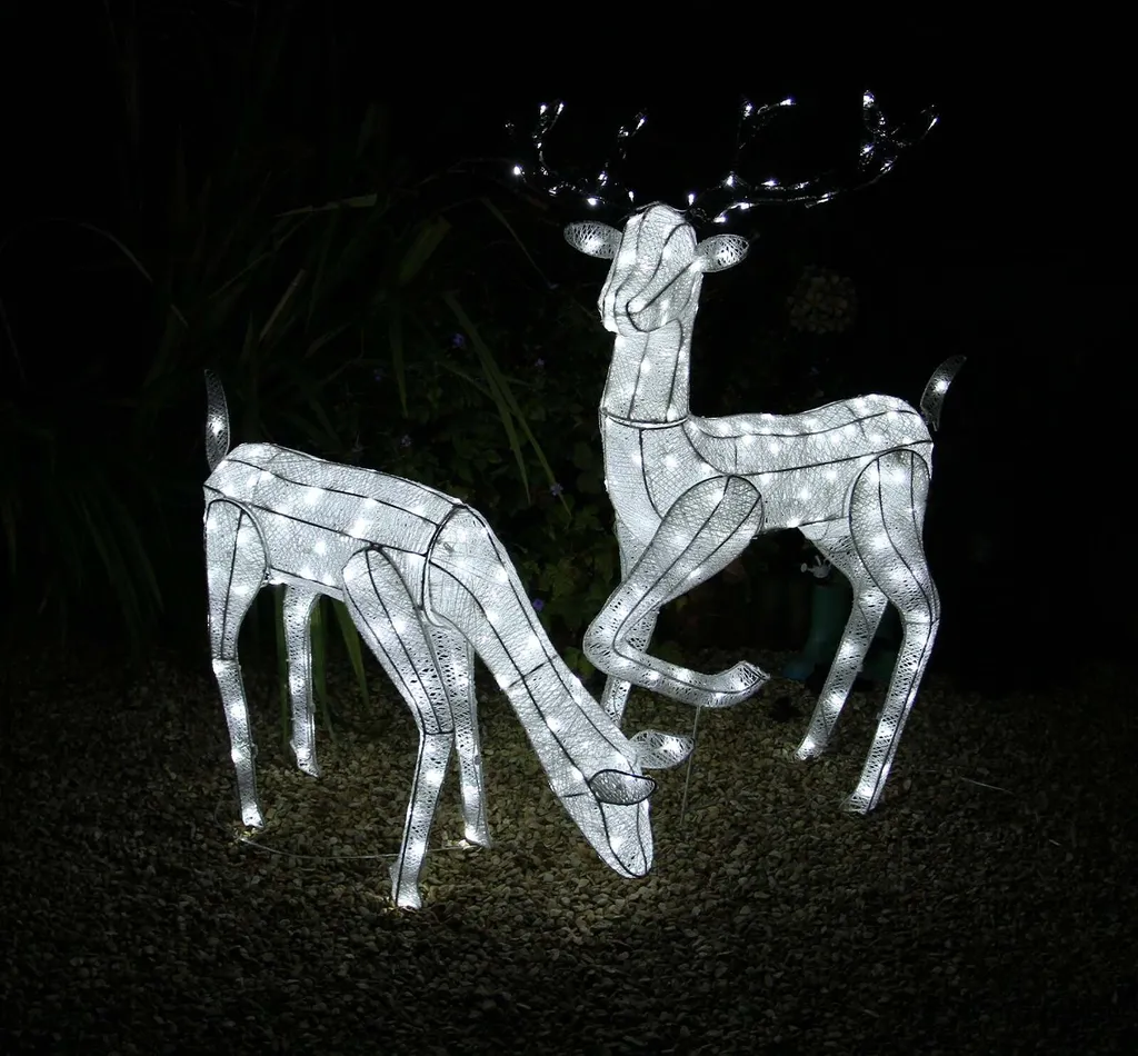 Renne de Noël LED 1,2m et Chevreuil 61cm Décoration Extérieur Illuminée