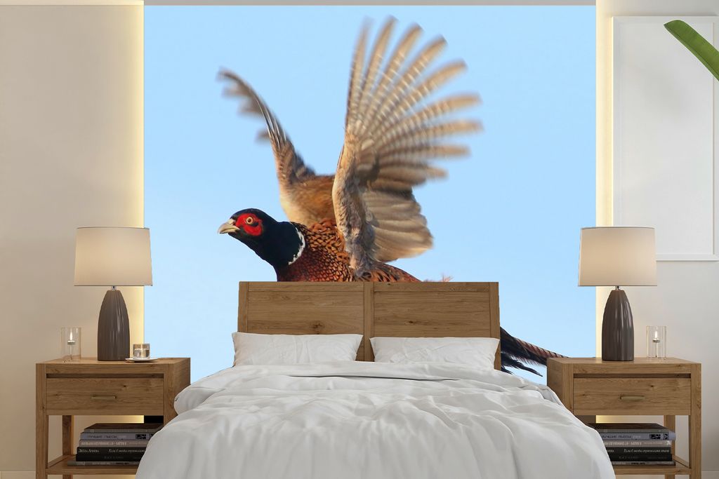 MuchoWow Fototapete für Wohnzimmer oder Schlafzimmer Wandtapete Vinyl Motivtapete Fasan - Flügel - Vogel - 280x280 cm - Hintergrundbild