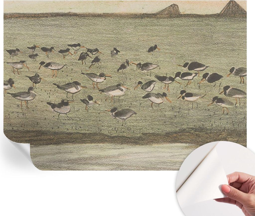 Selbstklebende Wandtapete - Dekorative Tapete für Wohnzimmer - Klebefolie für Wandbilder - Tapetenfolie für Wanddekoration - 312x219 cm - Vogelf...