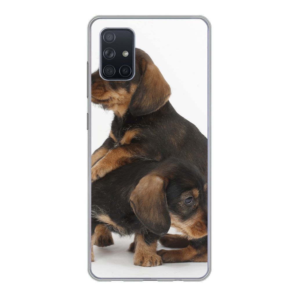 MuchoWow Handyhülle Schutzhülle Hülle für Samsung Galaxy A71 Studiofoto von zwei süßen Dackeln Silikon Softcase Handy Hülle - Kartenbesitzer