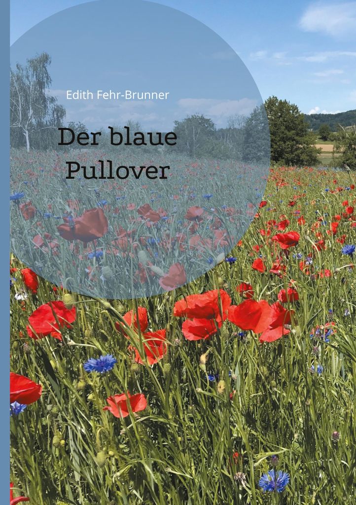 Der blaue Pullover