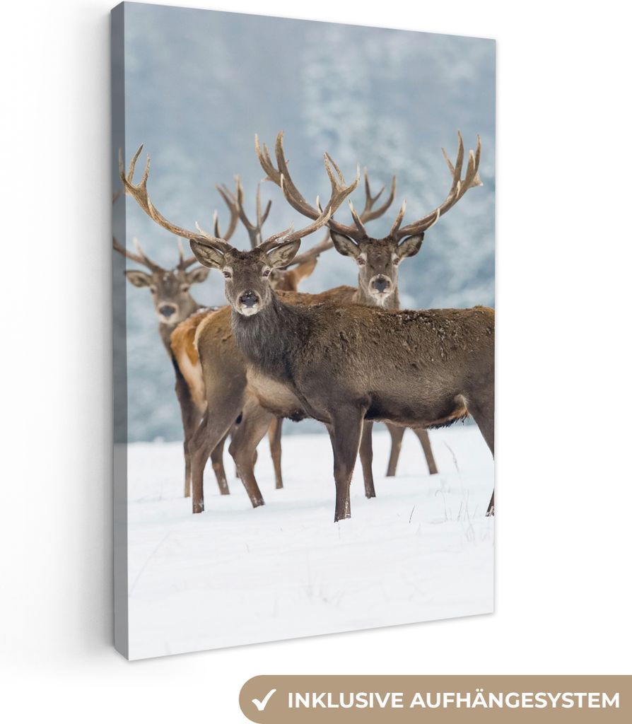 MuchoWow - Leinwandbilder - Hirsche - Tiere - Schnee - Winter - Landschaft - Natur, Wandbild, Wanddeko Bilder Wohnzimmer, 20x30 cm