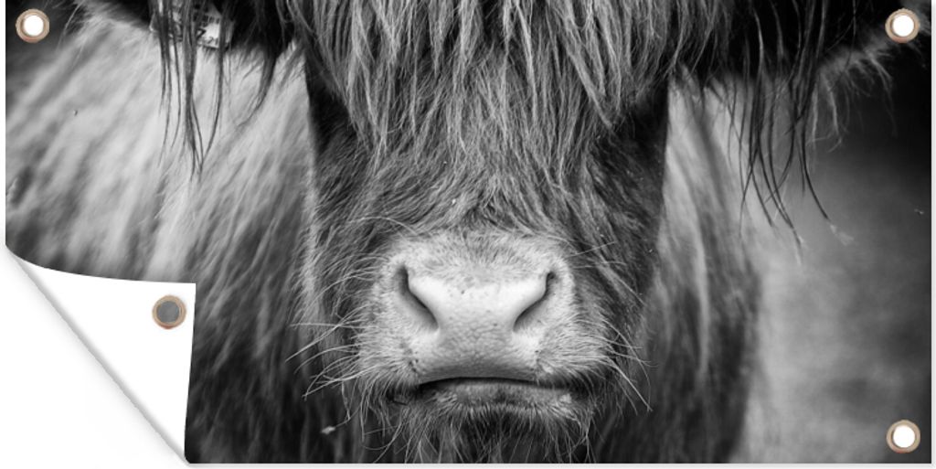 MuchoWow 160x80 cm Outdoor-Poster Gartendeko Sichtschutz Garten Poster für den Garten Schottischer Highlander - Kuh - Schwarz - Weiß - Tiere