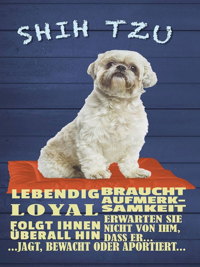 vianmo Holzschild 40x30 cm Shih Tzu Hund lebendig loyal