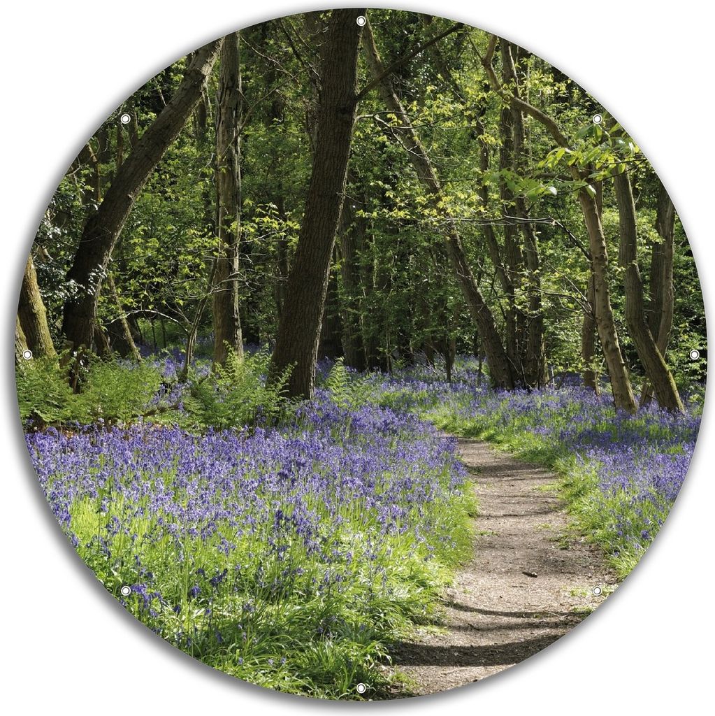 Wallario rundes Outdoor-Poster für Garten oder Balkon, Motiv Wiese voller blauer Hasenglöckchen im Wald, 60 cm Durchmesser