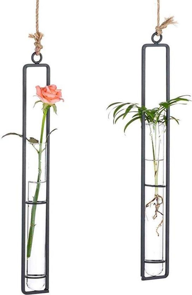 Hängende Metallblumentöpfe transparent für Wohnzimmer